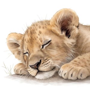 Clipart de bebé león, 12 adorables ilustraciones de leones, acuarelas imprimibles, archivos JPG de alta calidad, arte mural para habitación infantil, descarga digital