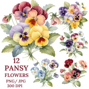 12 cliparts de pensées, illustrations de fleurs à l'aquarelle imprimables, PNG transparent, téléchargement numérique, sublimation, fabrication de cartes