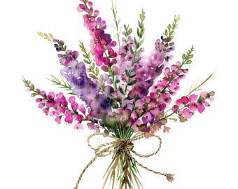 Watercolor Heather Flower Clipart, Wildflower Illustrations (Digital Download)