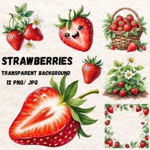12 Strawberry Cliparts – Printable Fruit Illustrations in Watercolor Style, Sublimation Designs, PNG / JPG, Card Making, Digital Download