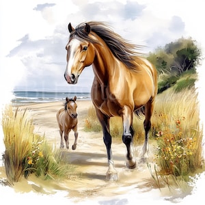12 Pferde-Baby-Cliparts, Fohlen Cliparts, Pferdebilder, Aquarell-Pferde-Wandkunst, Pferde-Wandbild, digitaler Download, sofort druckbare JPG