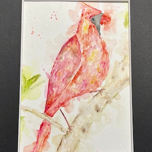 Cardinal on a Branch Watercolor