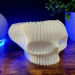 Decorative Skull Alexa Stand – Modern 3D Printed Skull | Unique Echo Dot Holder