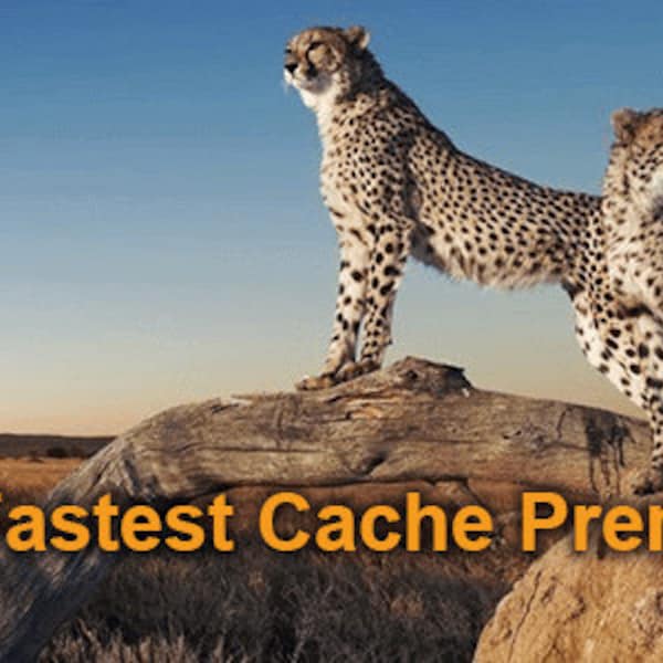 WP Fastest Cache Premium GPL Download - Bestes Premium Plugin | GPL Lizenziert | Lebenslange Updates | Direkter Download
