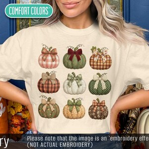 Fall Pumpkin Graphic Tee Shirt, Autumn Harvest Pumpkin T-Shirt, Thanksgiving Pumpkin Top, Seasonal Pumpkin Clothing for Women