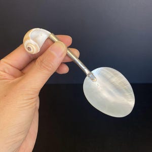 Puede incluir: Una cuchara decorativa con una pala de nácar y un mango de concha. El mango está conectado a la pala con un metal de color plateado. La concha es beige y blanca.