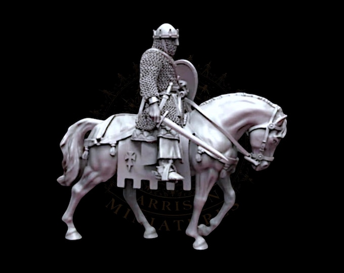 King Pedro I of Aragon and Navarra, 28mm 1/56