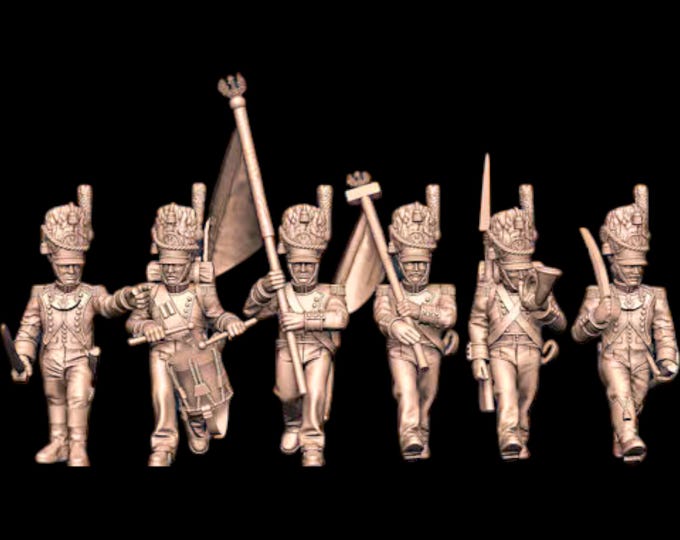 Napoleonic Grand Duchy Warsaw Line Grenadiers Command 28mm 1/56