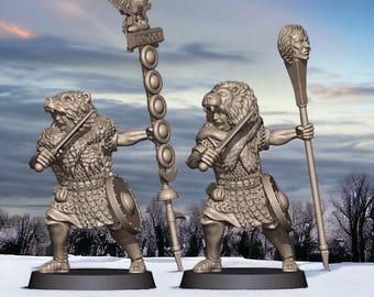 Roman Empire Aquilifer and Imagifer 28mm