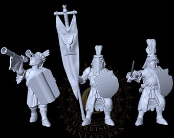 Foot Knights Command X3 28mm 1/56