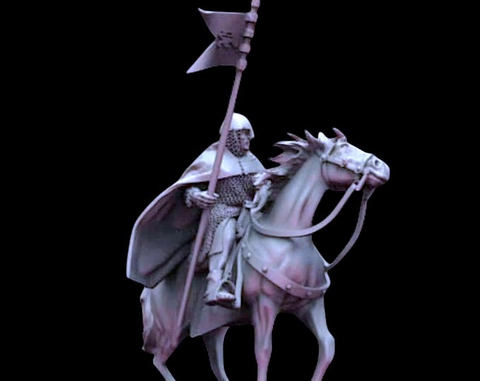 Duke William IX of Aquitaine, 28mm 1/56