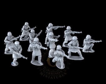 WW2 Polish 10th Motorized Brigade:  28mm Wargame and Display Miniatures