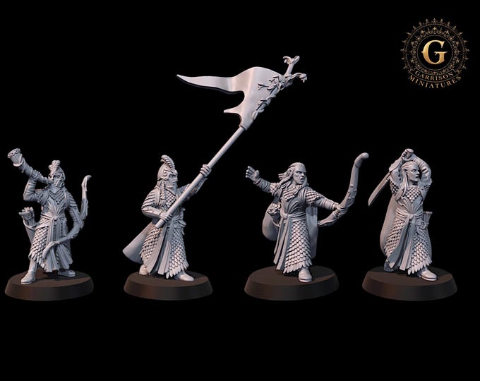 High Elf Command 28mm 1/56