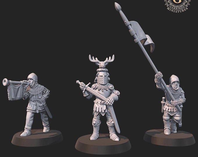 14th Century Knight Command 28mm 1/56