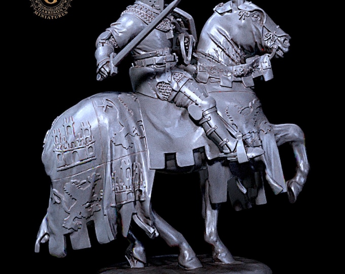 Prince Henry of Trastamara Medieval Spanish Knight V2  28mm 1/56