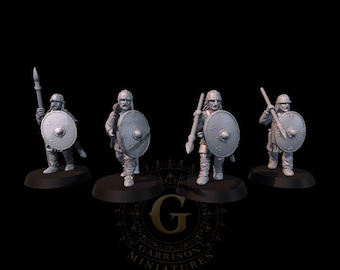Carolingian Hearthguard X4  28mm 1/56