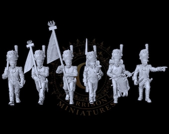 Napoleonic Grand Duchy Warsaw Line Grenadiers Command 28mm 1/56