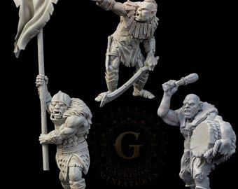 Orc Command Unit A  28mm 1/56