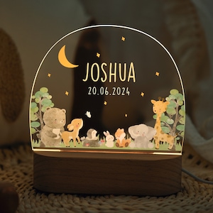 Personalized acrylic LED night light with wooden stand, cute animals night lamp, bedroom bedside night light, nursery decor, Easter gifts