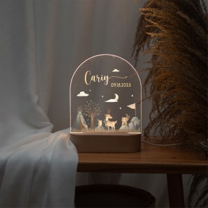 Cadeau de Pâques pour bébé, veilleuse acrylique personnalisée pour enfant avec nom et date gravés, naissance de bébé, baby shower, lampe de chevet pour bébé image 3