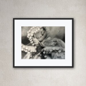 Octopus Wall Art, Home Decor, Black and White, Bathroom, Bedroom, Octopus Print, Ocean, Sea Creature, Octopus Decor, Bathroom Art, Charcoal