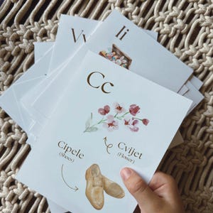 May include: A white educational flashcard featuring the letter C in a large brown font. The card displays a watercolor illustration of pink flowers labeled Cvijet and tan shoes labeled Cipele with arrows pointing to each.