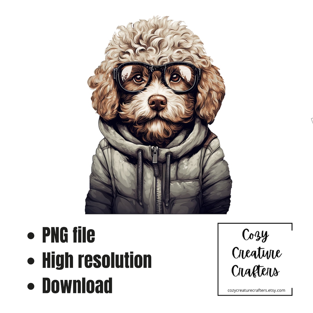 Lagotto Romagnolo PNG | Lagotto Romagnolo Portrait PNG | Cute Dog ...