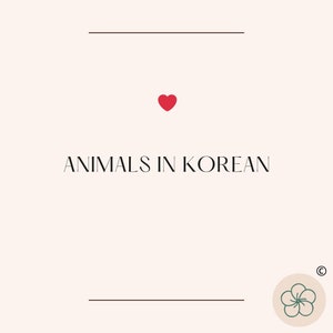 Korean Animals Vocabulary