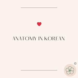 Korean Anatomy Vocabulary
