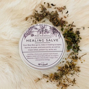 Healing Salve/ SUPER STRONG/ Organic/ Herbal Healing Salve/ Infused Oil/ 2oz/ Salve for Bug Bites/ Salve for Skin Irritations