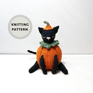 May include: Knitting pattern for a black cat dressed as a pumpkin. The cat has a green and orange pumpkin costume with a stem on top.