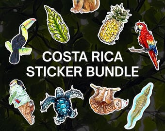 Costa Rica Sticker-Set, 14 Sticker, Regenwald-Dschungel-Motive, Tiersticker, Pura Vida