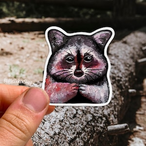 Cute Raccoon Sticker Vinyl Trash Panda Sticker Raccoon Decal Waterbottle Stickers Animal Raccoon Gift Art Stickers Laptop IPad Stickers Gift