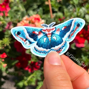 Moth Sticker Moth Wings Butterfly Sticker Gift Party Favor Butterfly Vinyl Sticker Moth Journal Sticker Butterfly Sticker Butterfly Gift