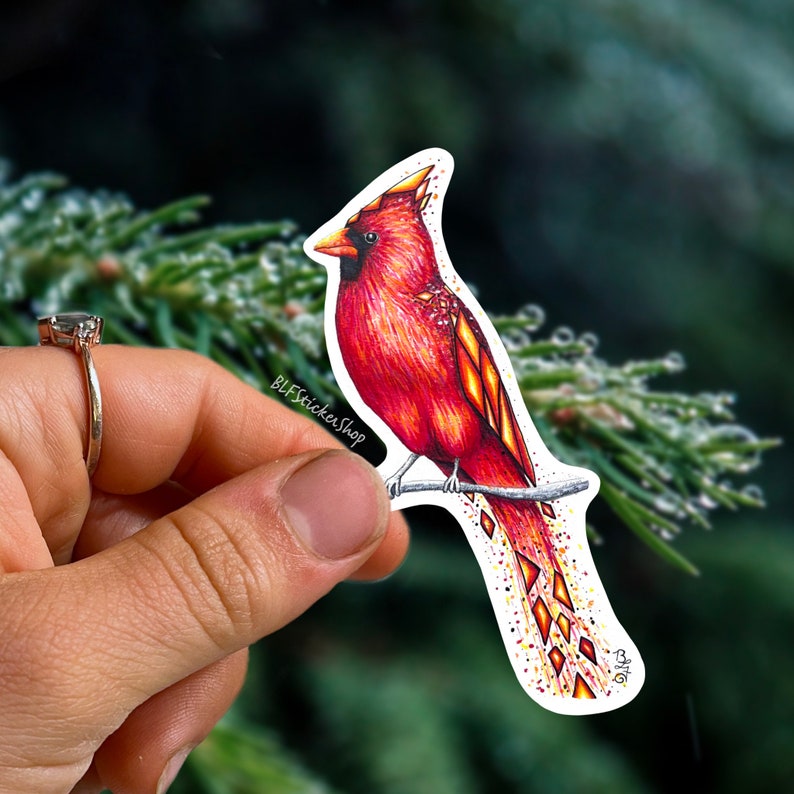 Red Cardinal Sticker Red Bird Sticker Cardinal Decal Bird Watching ...