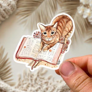 Orange Cat Laying on Book Sticker, Kindle Sticker Reading Stickers Tabby Cat Lover Book Cat Sticker Cat Mom Gift Tabby Cat Gift Book Lover