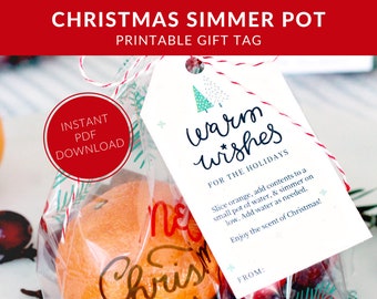 May include: A clear cellophane bag containing an orange and a gift tag. The tag reads "Warm Wishes for the Holidays" and includes instructions for a simmer pot. The words "Christmas Simmer Pot" are at the top.
