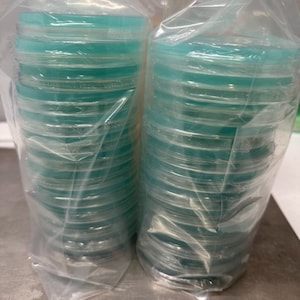 10 PACK Potato - Dextrose - Agar Pre poured Petri dish (PDA)