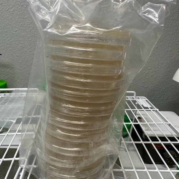 10 PACK (MEA) - light malt extract - Agar Pre poured sterile Petri dish
