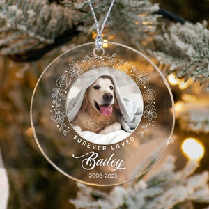 Custom Dog Memorial clear or transparent acrylic ornament, Pet Memorial Ornament ornament, In Loving Memory of Cat Ornament