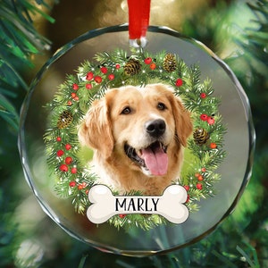 Personalized Pet Glass Ornament, Custom Dog Christmas Ornament, Pet Memorial Ornament, Cat Christmas Photo Ornament, Pet Portrait Name Gift