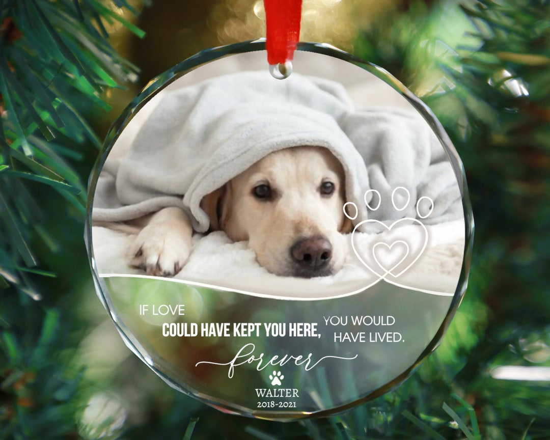 Personalized Dog Memorial Ornament With Photo, Pet Memorial Gifts, Pet Memorial, Dog Loss