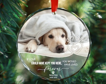 Personalized Pet Memorial Photo Ornament, Dog Sympathy