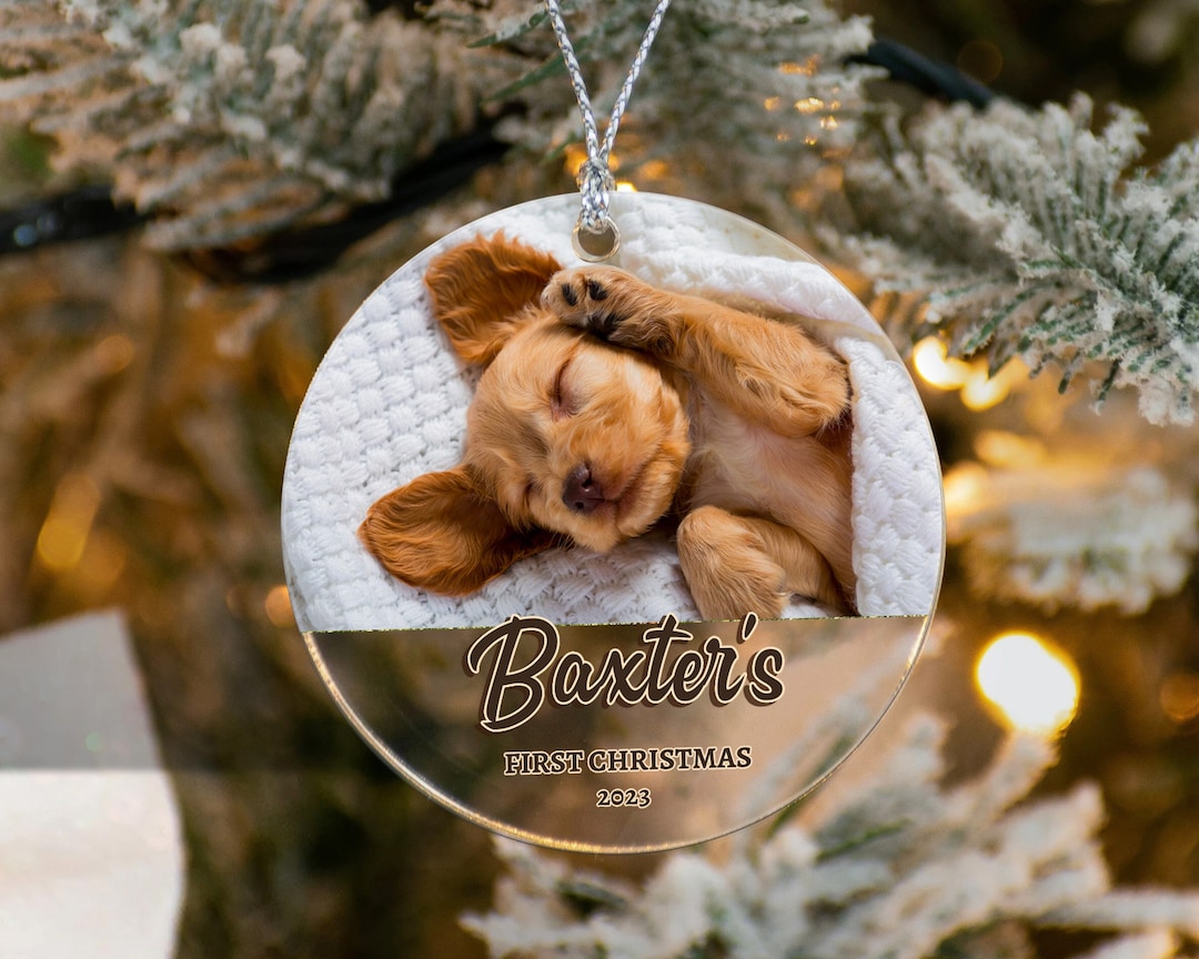 Dog Ornament, Dog Christmas Ornament, Pet Ornament, Dogs First — free download
