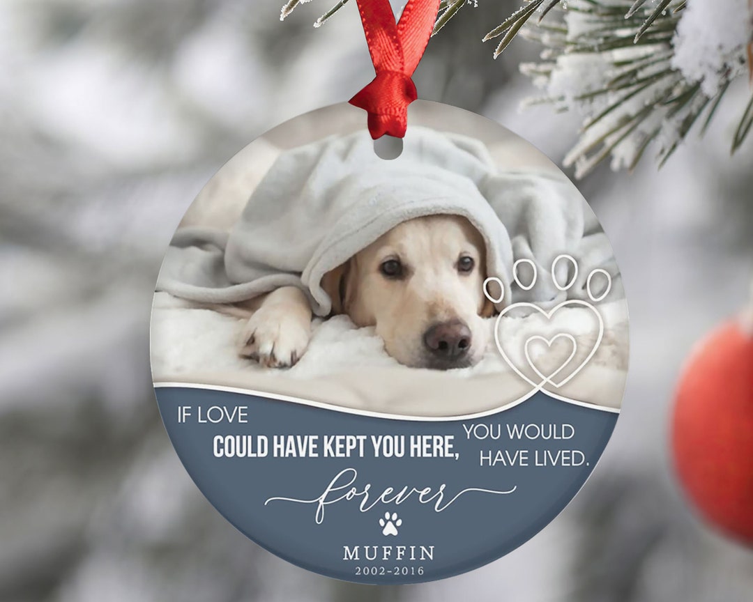 Personalized Dog Memorial Ornament With Photo, Pet Memorial Gifts, Pet Memorial, Dog Loss