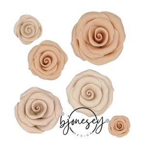 May include: A collection of beige-colored rose-shaped decorations. The roses vary in size and are arranged against a white background. The image includes the text "bjonesey DESIGN" in a cursive font.