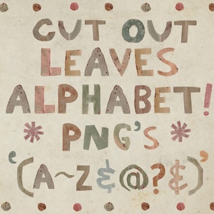 Natürliche handgemachte Schrift Alphabet Buchstaben PNG aus echten gepressten Eukalyptusblättern für Wandkunst, Einladungen, Poster, POD. Kommerzielle Lizenz