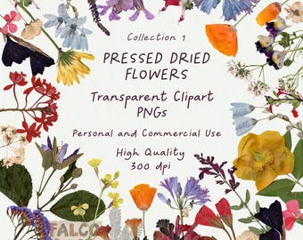 May include: Collection of pressed dried flowers in various colors, including yellow, red, blue, and orange. The flowers are arranged on a white background and labeled "Pressed Dried Flowers, Transparent Clipart PNGs, Personal and Commercial Use, High Quality 300 dpi".