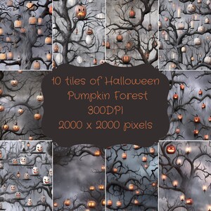 Può includere: Dieci piastrelle di carta digitale che mostrano una scena di foresta di Halloween inquietante con zucche luminose a forma di jack-o'-lantern appese a rami spogli. Lo sfondo è grigio scuro e nebbioso. Il testo "10 tiles of Halloween Pumpkin Forest 300DPI 2000 x 2000 pixels" è visualizzato al centro dell'immagine.