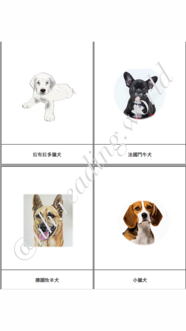 Bilingual Dog-theme Flashcards english and Chinese and Interactive ...